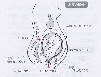 お産の徴候