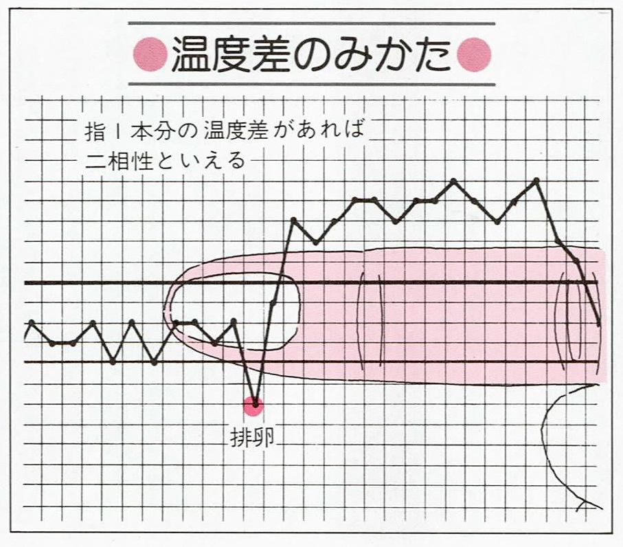 高温期 長い 陰性 原因