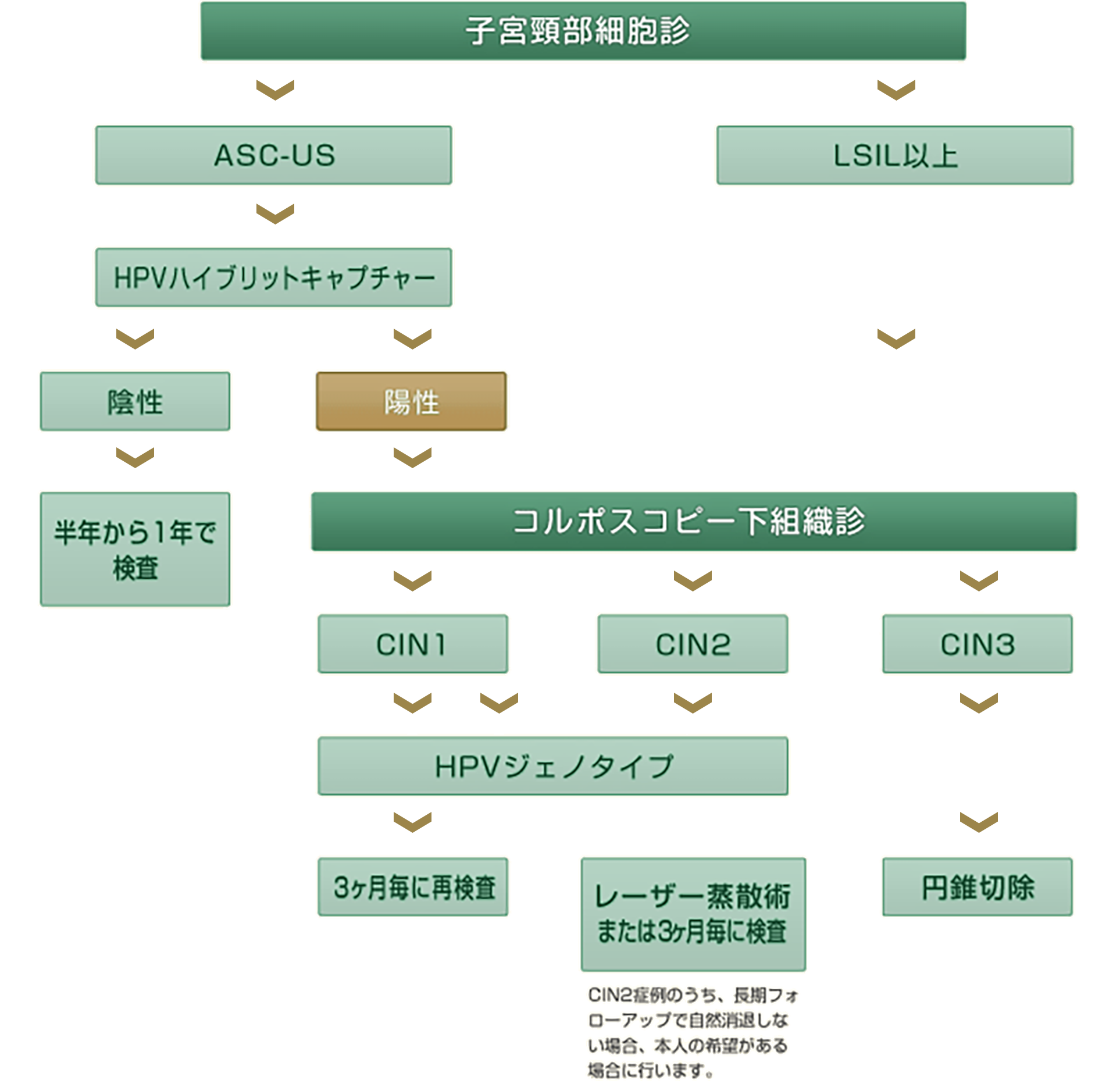 宮頸 形成 子 異 が ん 子宮頸部異形成とは？子宮頸がん一歩手前の「前がん状態」